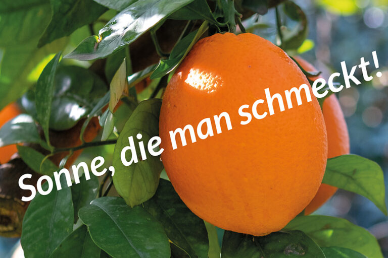 *** Zweite & letzte Lieferung für 2026 – Sonne aus Griechenland: Orangen, Zitronen, Oliven & Öl ***